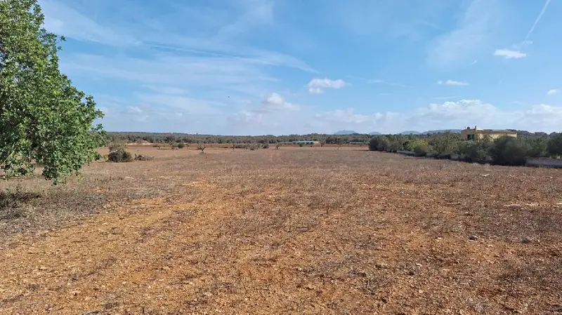 Venta Terreno Vistas Montaña Ses Salines 19542m2
