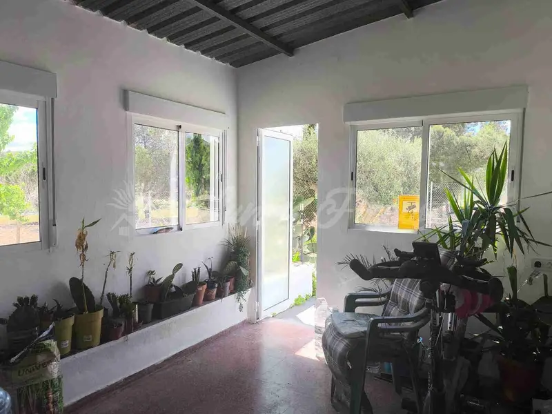 Finca Rustica con Piscina y Gran Parcela en Yecla Murcia