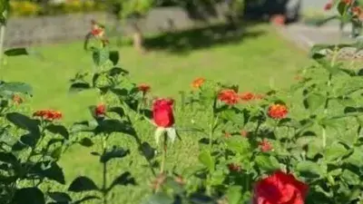 Chalet en Barcenilla con Finca y Jardin