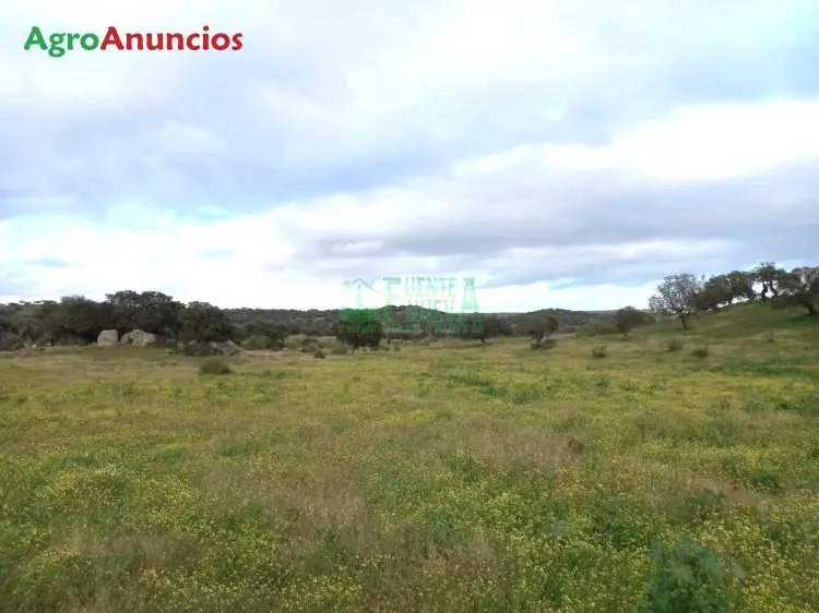 Venta  de Finca con dehesa en Badajoz