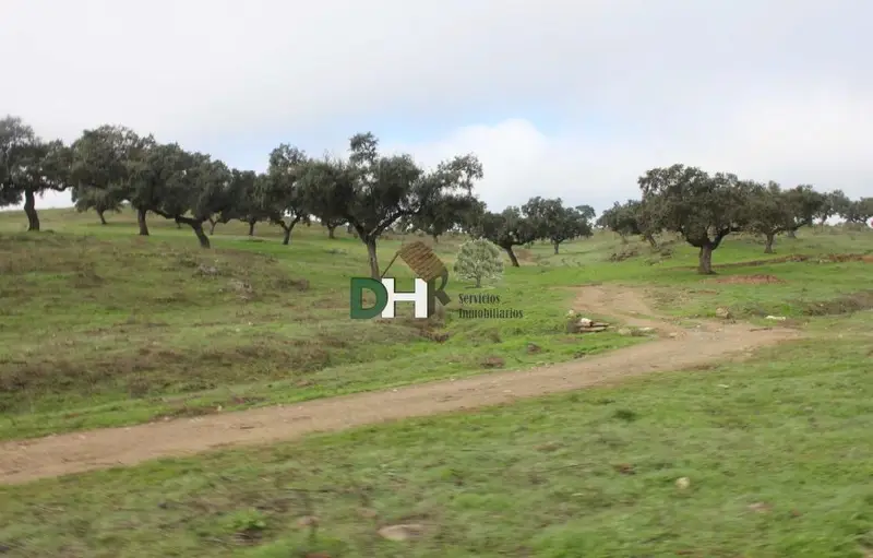 Venta Finca Rustica 550 Hectareas Ganaderia Caceres