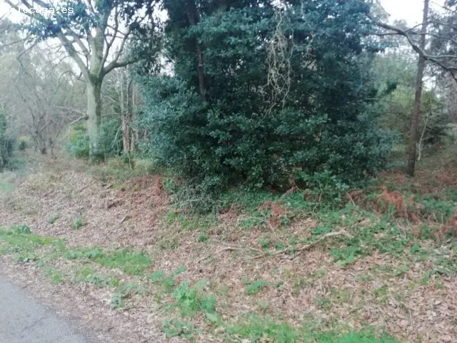 Terreno Rustico en Buxan Coristanco 5000m2