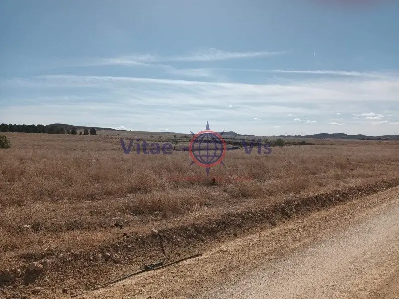 Venta Finca La Paca Zarcilla de Ramos 60000m2
