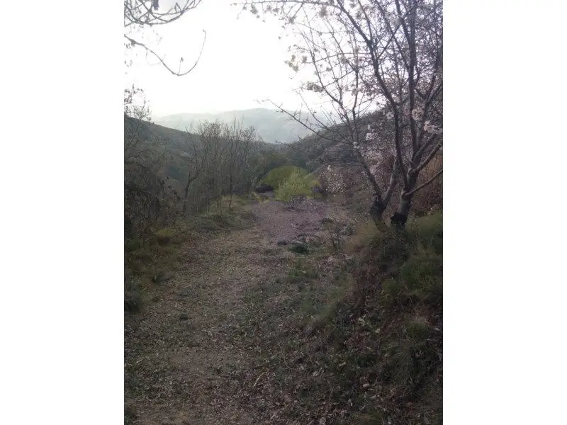 Casa Rural con Jardin en Nieles - Ref sp11750