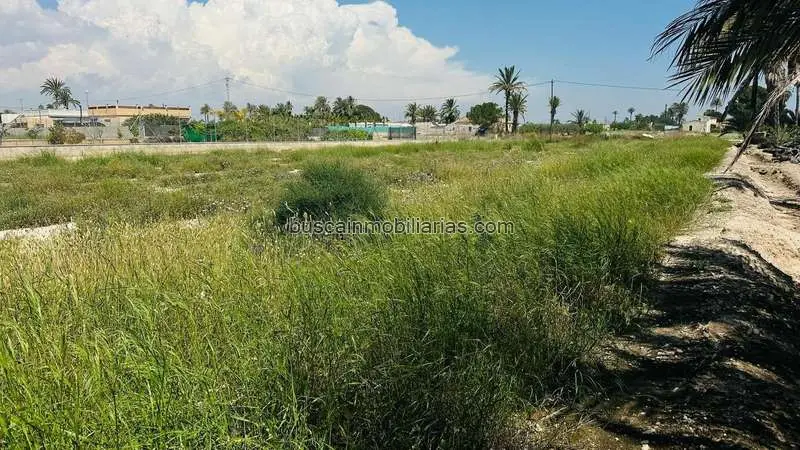 Parcela Rustica en Venta Elche 11000m2