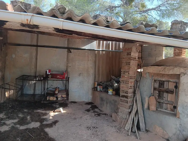 Venta Terreno Rustico Asco 14 Hectareas Caseta 40m2