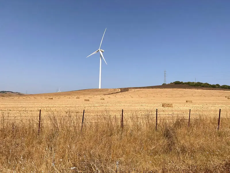 Parcela Rustica 400000m2 Vejer de la Frontera