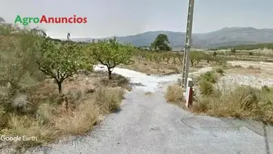 Venta  de Finca de almendros y algunos olivos en regadío por goteo en Almería