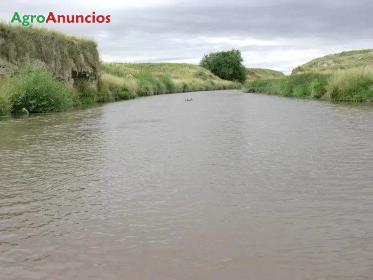 Venta  de Finca rustica agrícola y ganadera en Málaga