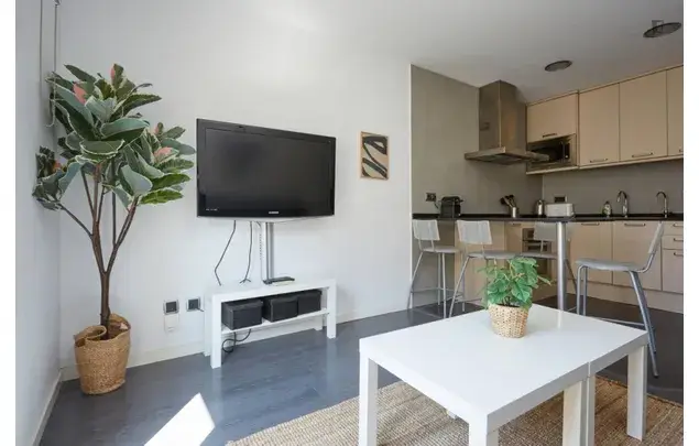 Alquiler Apartamento 2 Dormitorios Barcelona Estudiantes