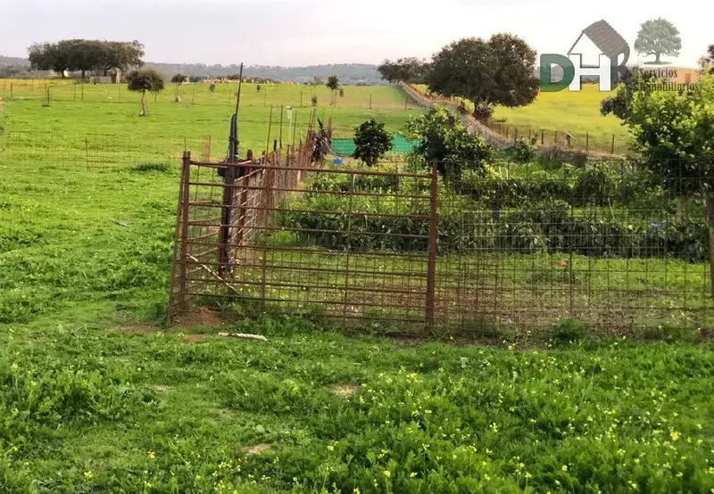 Venta Finca en Badajoz - Ref: 544-544-BA-067
