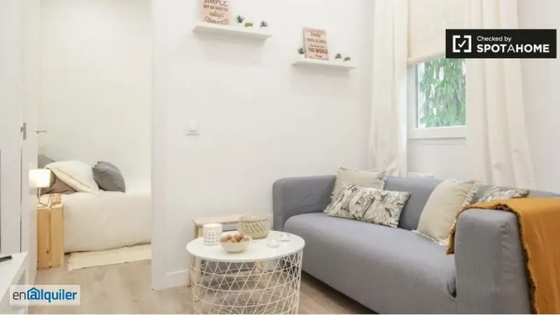 Apartamento 1 Dormitorio Almagro Madrid