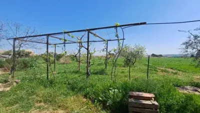 Finca Rústica con 2 Viviendas en Fraga