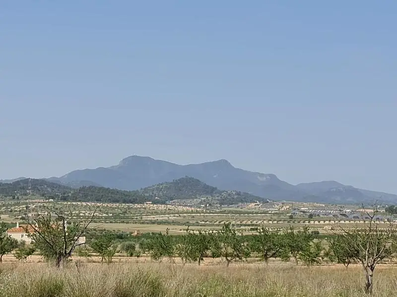 Solar 14500m2 Jumilla Murcia Construccion Vivienda Agricola