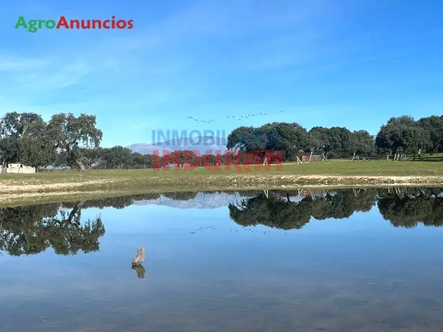 Venta  de Finca ganadera con plaza de toros en Cáceres