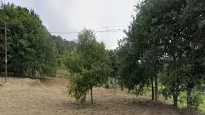 Finca Rústica en Remate Crecente Pontevedra