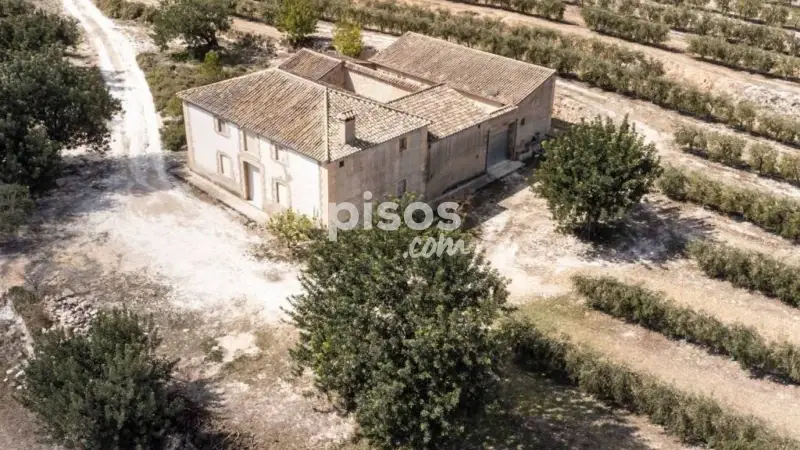 Casa Rustica en Venta Agullent Finca Olivos