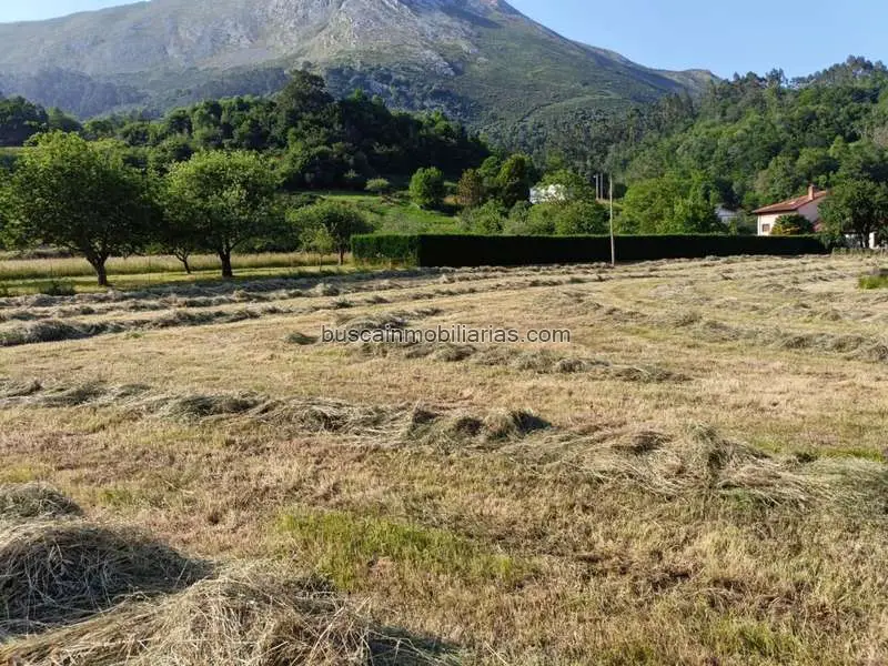 Parcela en Venta Llanes Valle de Ardisana