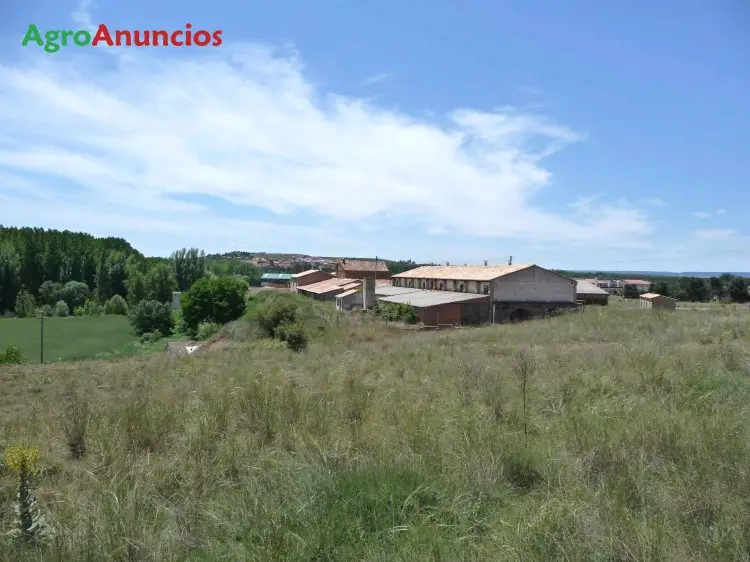 Venta  de Naves y Vivienda para uso agrario o ganadero en Soria