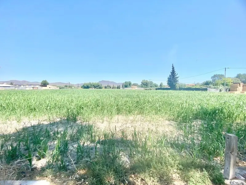 Venta Parcela en Campillo, Lorca - Ref: 20154