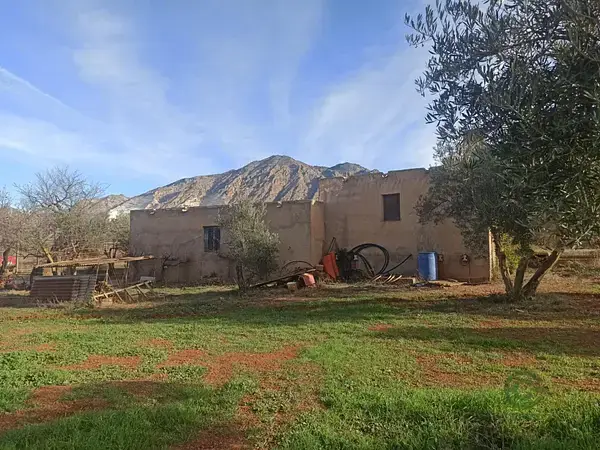 Finca Rustica en Niguelas Granada 11ha