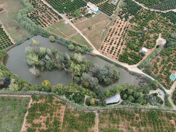 Finca Rustica 11 Hectareas Valencia