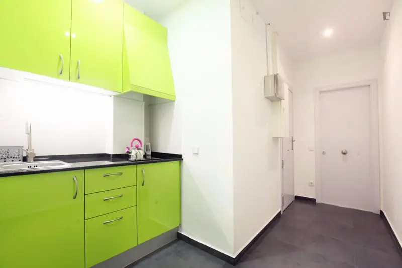 Estudio con Baño Privado y Balcon
