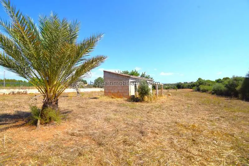 Finca Rustica en Venta en Muro Mallorca