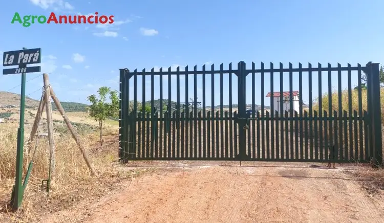 Venta  de Finca de recreo en Málaga