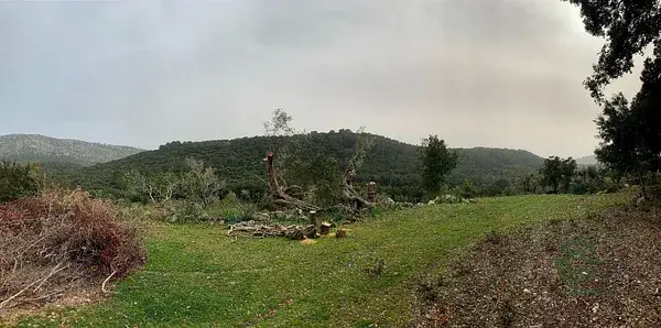 Finca Rustica con Casas en Pollença Mallorca