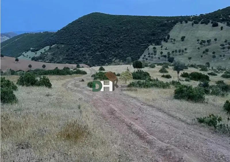 Venta Finca Ganadera 500 Hectareas Ciudad Real