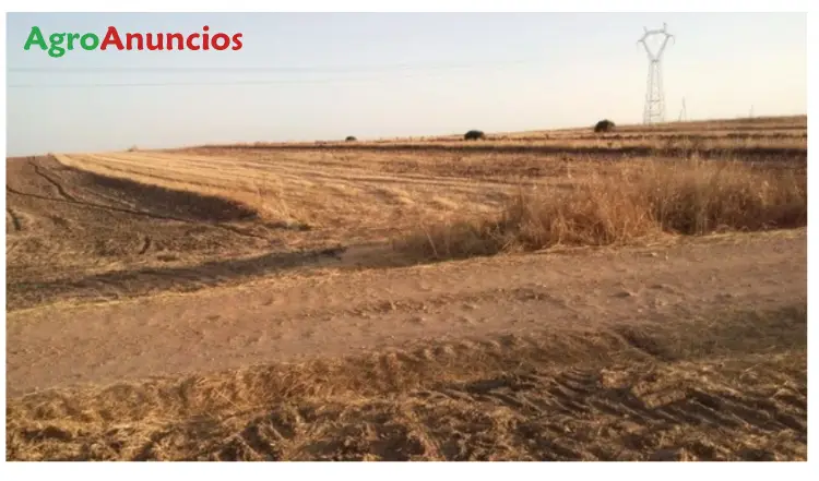 Venta  de Fincas rústicas con derecho a pac en Huelva