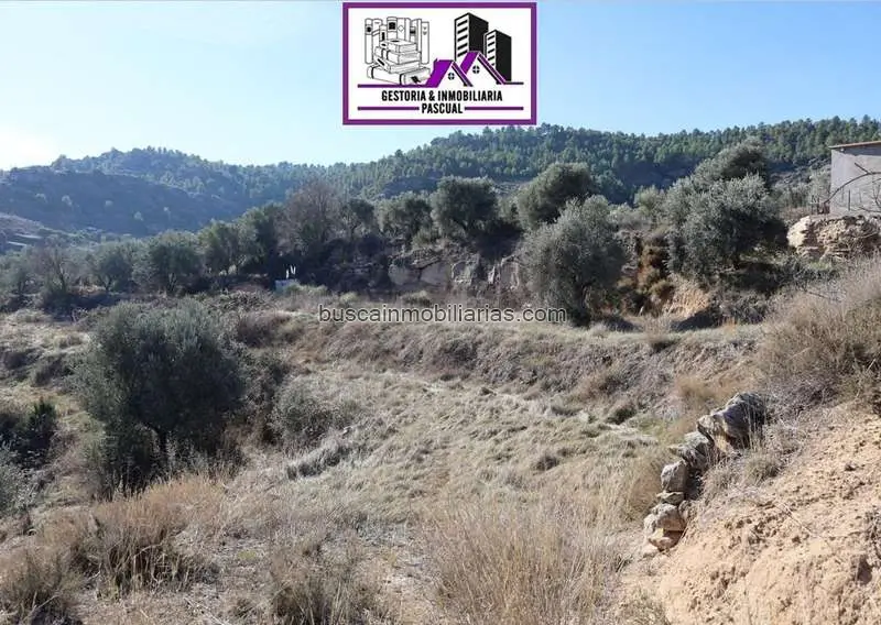 Terreno Rustico en Venta Alcañiz Regadío