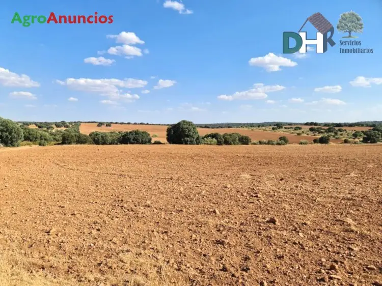 Venta  de Finca ganadera, de labor y recreo en Ciudad Real