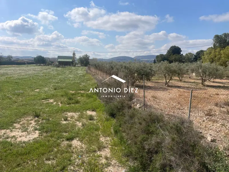 Venta Parcela Alcana Aspe