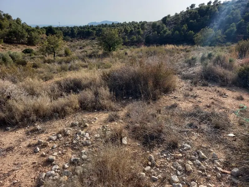 Venta Parcela en Crevillent 3000m2