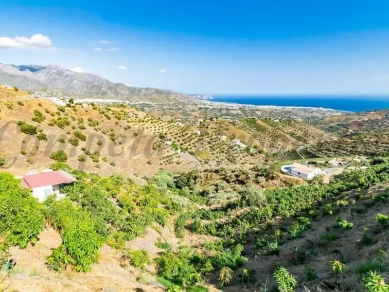 Casa de Campo en Torrox con Vistas al Mar y 3800m2 de Terreno