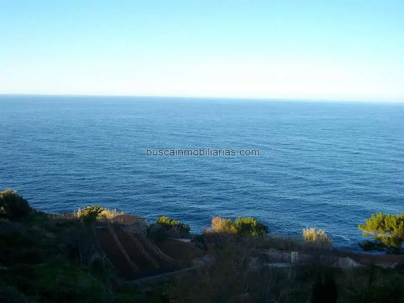 Parcela Rustica Banyalbufar 1000m2 Vistas al Mar