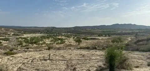 Terreno Rustico en Venta Orihuela cerca Torremendo