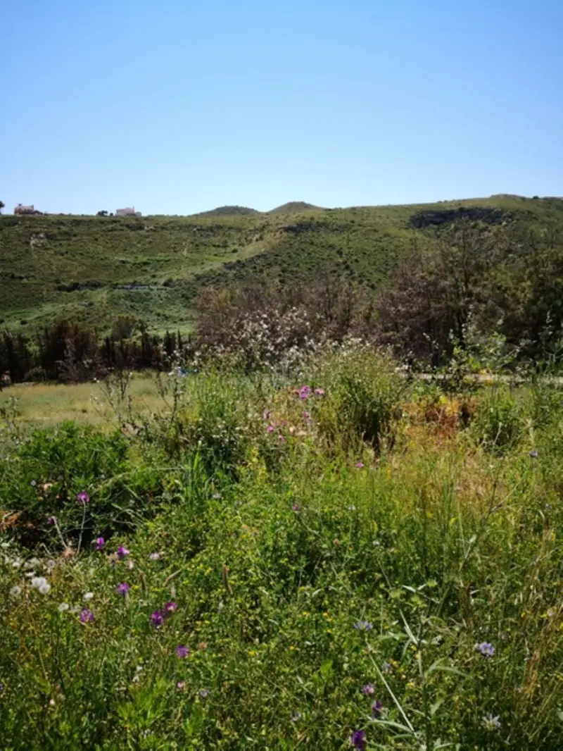 Terreno en Venta Manilva 8000m2  Inversion Excelente Ubicacion