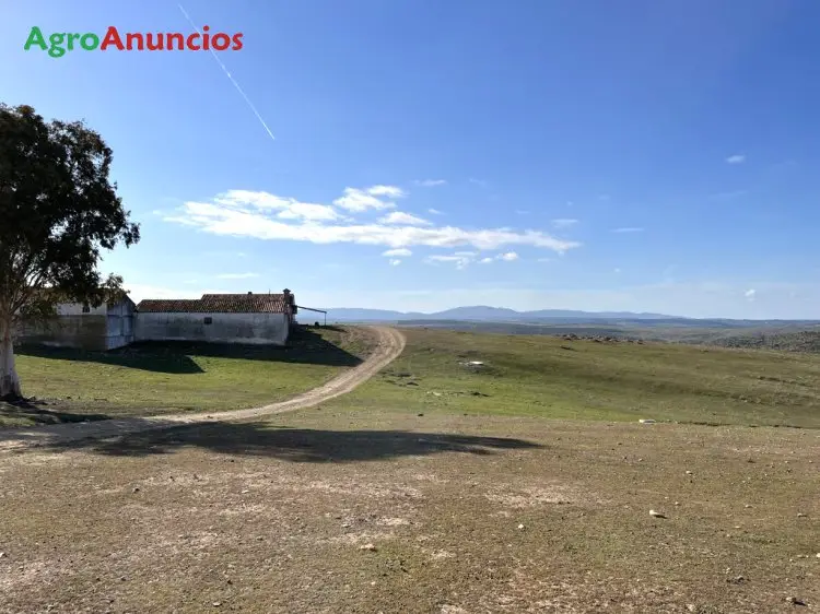 Venta  de Finca ganadera en Cáceres