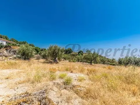 Parcela Rustica en Venta Competa