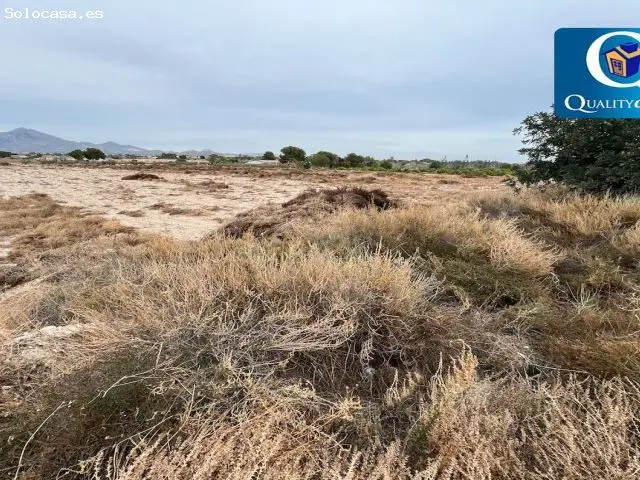 Parcela Rustica en Venta Mutxamel 10000m2