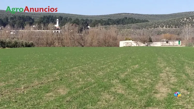 Venta  de Terreno de regadío en Jaén