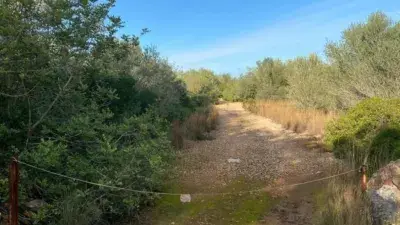 Finca rústica en alquiler en San Jorge - Sant Jordi