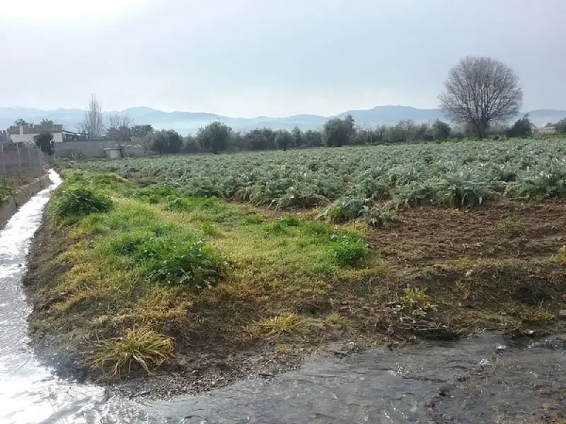 Venta Terreno 1530m2 Regadío Granada Ref N143