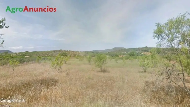 Venta Finca Almendros Castellon - Ideal Cultivo y Vivienda