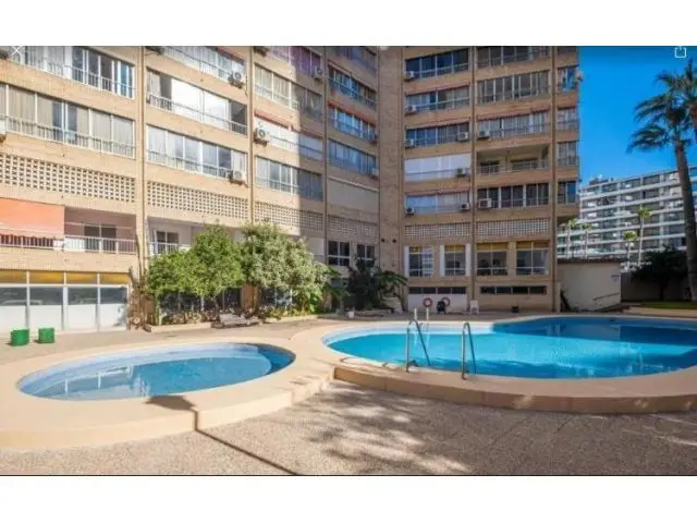 Apartamento en Venta Benidorm 1 Habitacion 53m2 Planta 9