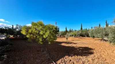Chalet en Venta Casariche 5 Dormitorios Piscina Amplia Parcela