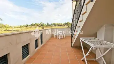Apartamento en Alquiler Cerca Can Picafort